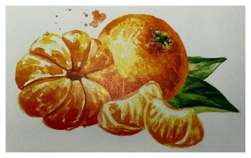 Aquarell: Mandarine