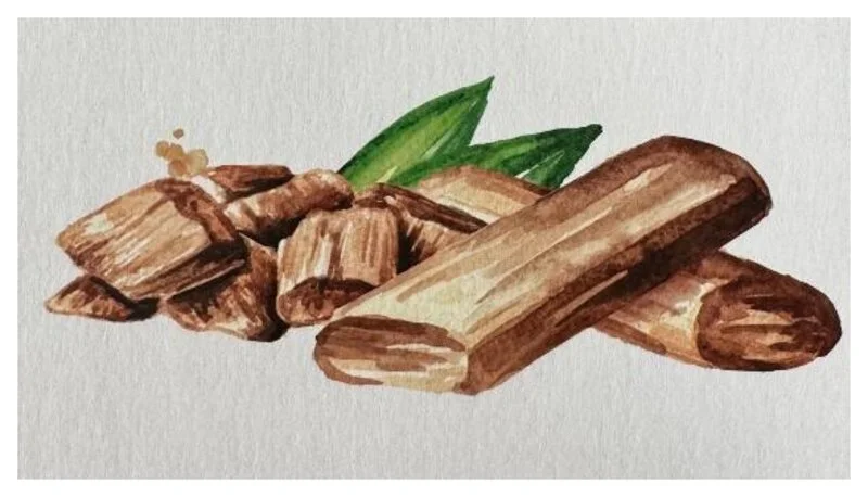 Aquarell: Sandelholzspäne