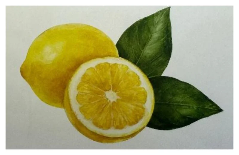 Aquarell: Zitrone